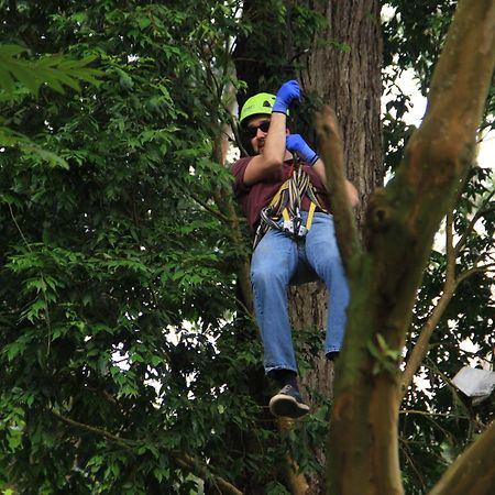 ホテル Bosque De Aventura & Glamping Refugio Del Bosque ラ・メサ エクステリア 写真