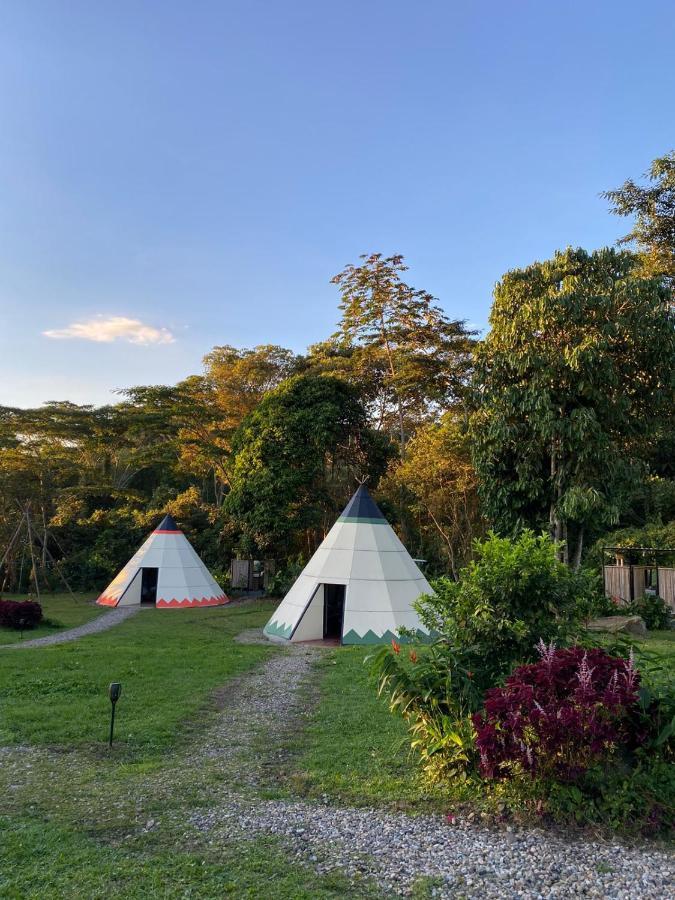 ホテル Bosque De Aventura & Glamping Refugio Del Bosque ラ・メサ エクステリア 写真