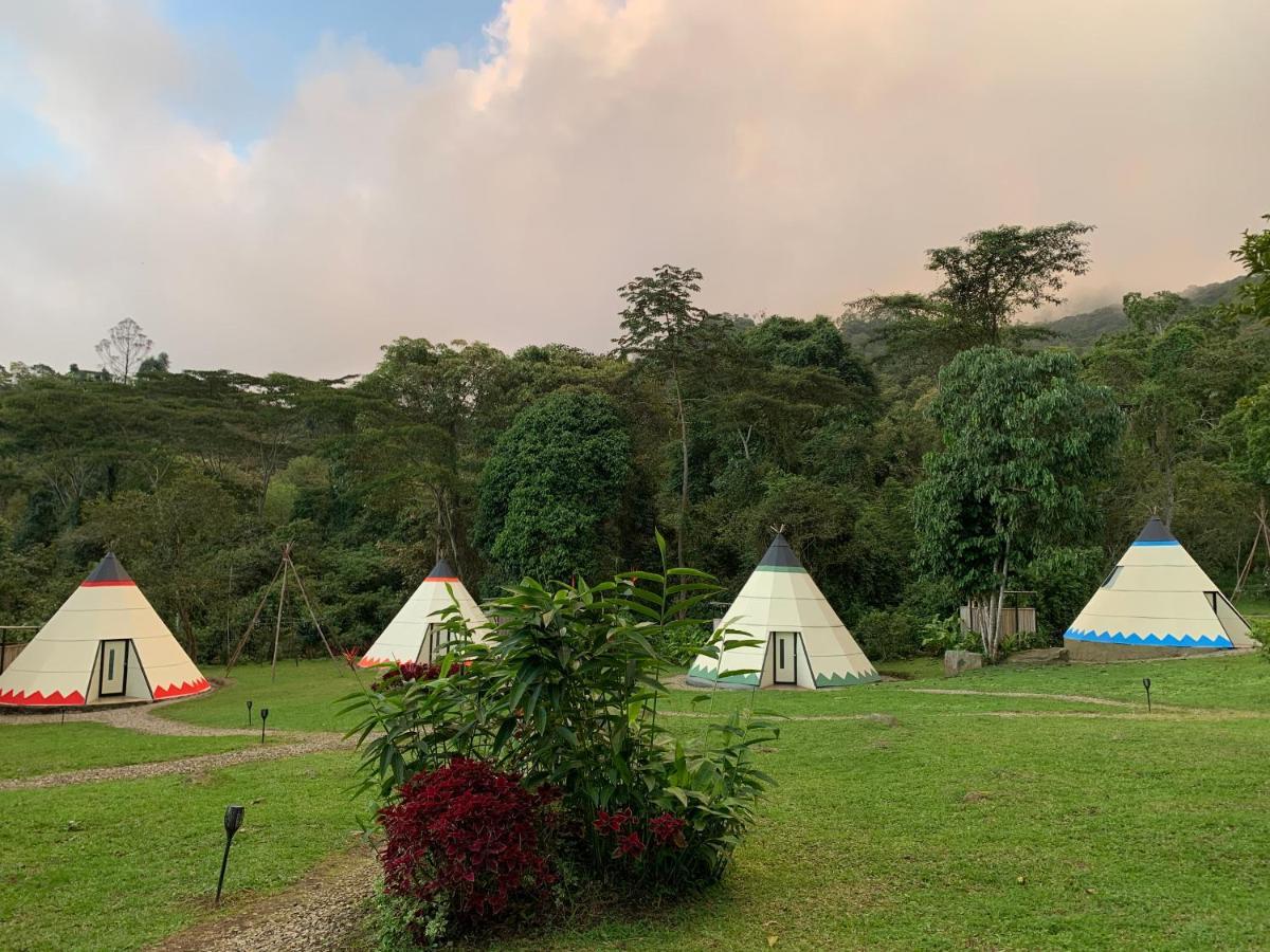 ホテル Bosque De Aventura & Glamping Refugio Del Bosque ラ・メサ エクステリア 写真