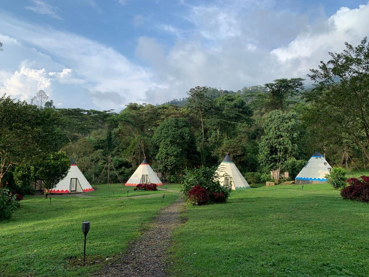 ホテル Bosque De Aventura & Glamping Refugio Del Bosque ラ・メサ エクステリア 写真