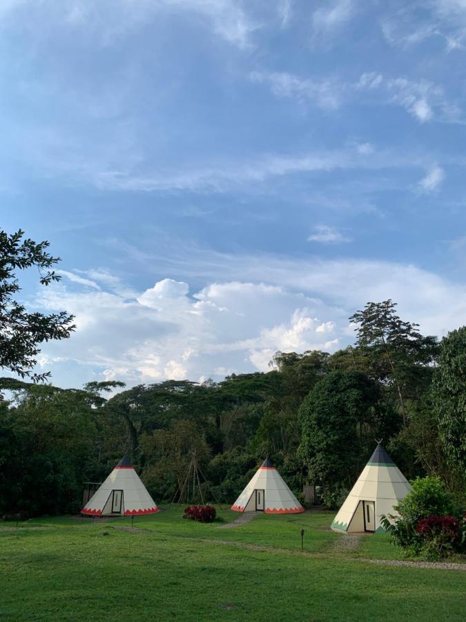 ホテル Bosque De Aventura & Glamping Refugio Del Bosque ラ・メサ エクステリア 写真