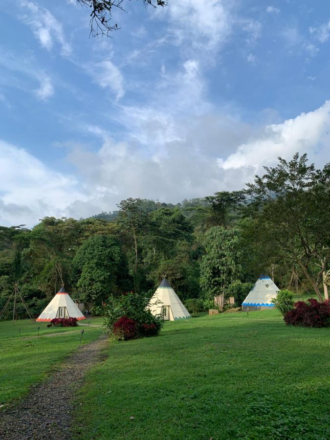 ホテル Bosque De Aventura & Glamping Refugio Del Bosque ラ・メサ エクステリア 写真