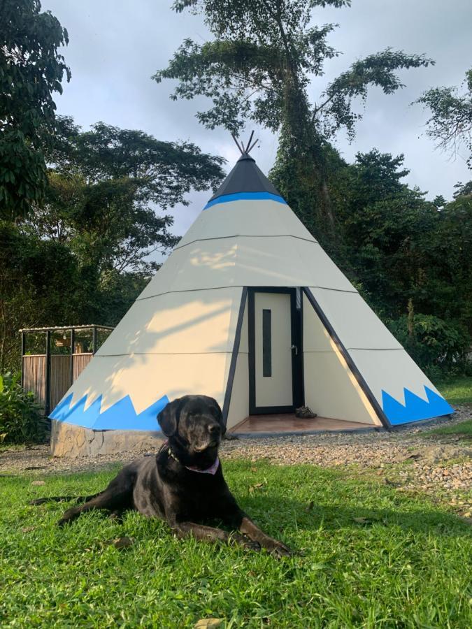 ホテル Bosque De Aventura & Glamping Refugio Del Bosque ラ・メサ エクステリア 写真