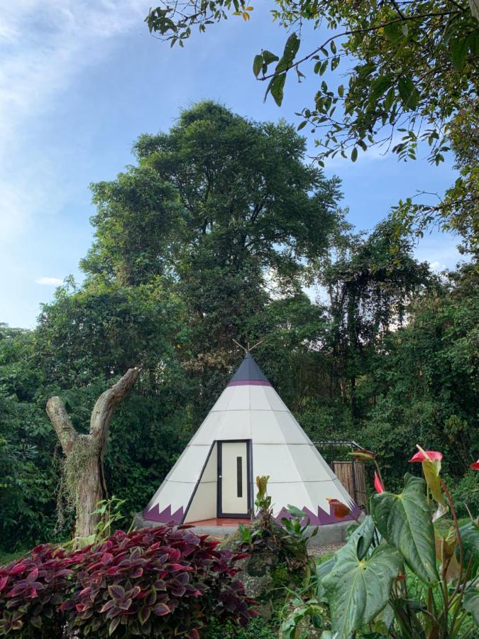 ホテル Bosque De Aventura & Glamping Refugio Del Bosque ラ・メサ エクステリア 写真