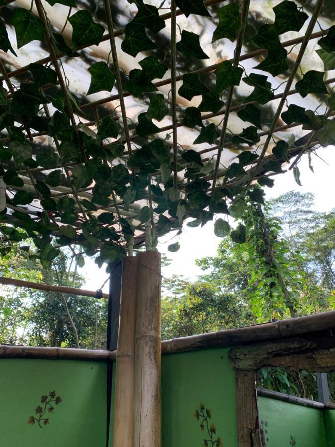 ホテル Bosque De Aventura & Glamping Refugio Del Bosque ラ・メサ エクステリア 写真