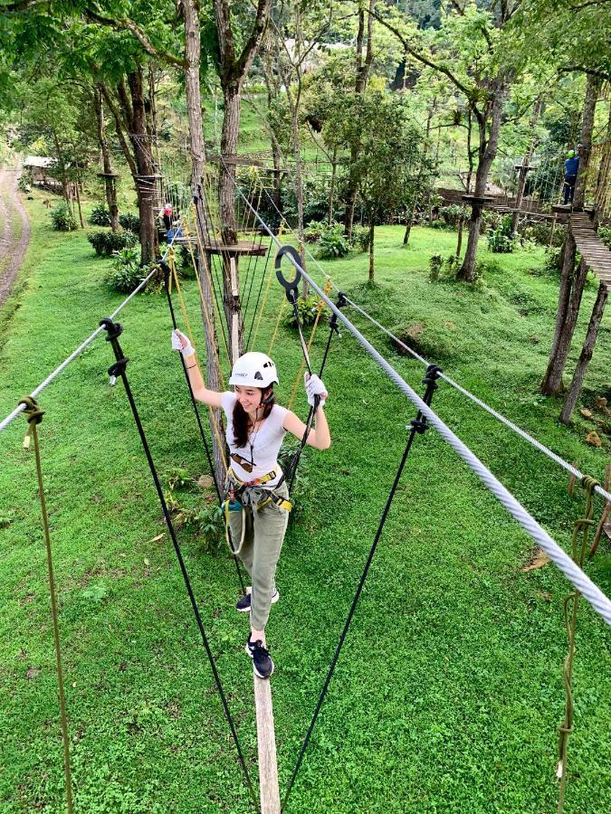 ホテル Bosque De Aventura & Glamping Refugio Del Bosque ラ・メサ エクステリア 写真