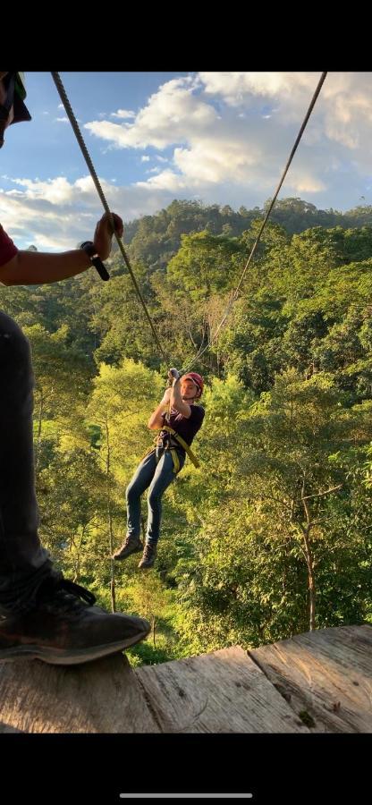 ホテル Bosque De Aventura & Glamping Refugio Del Bosque ラ・メサ エクステリア 写真