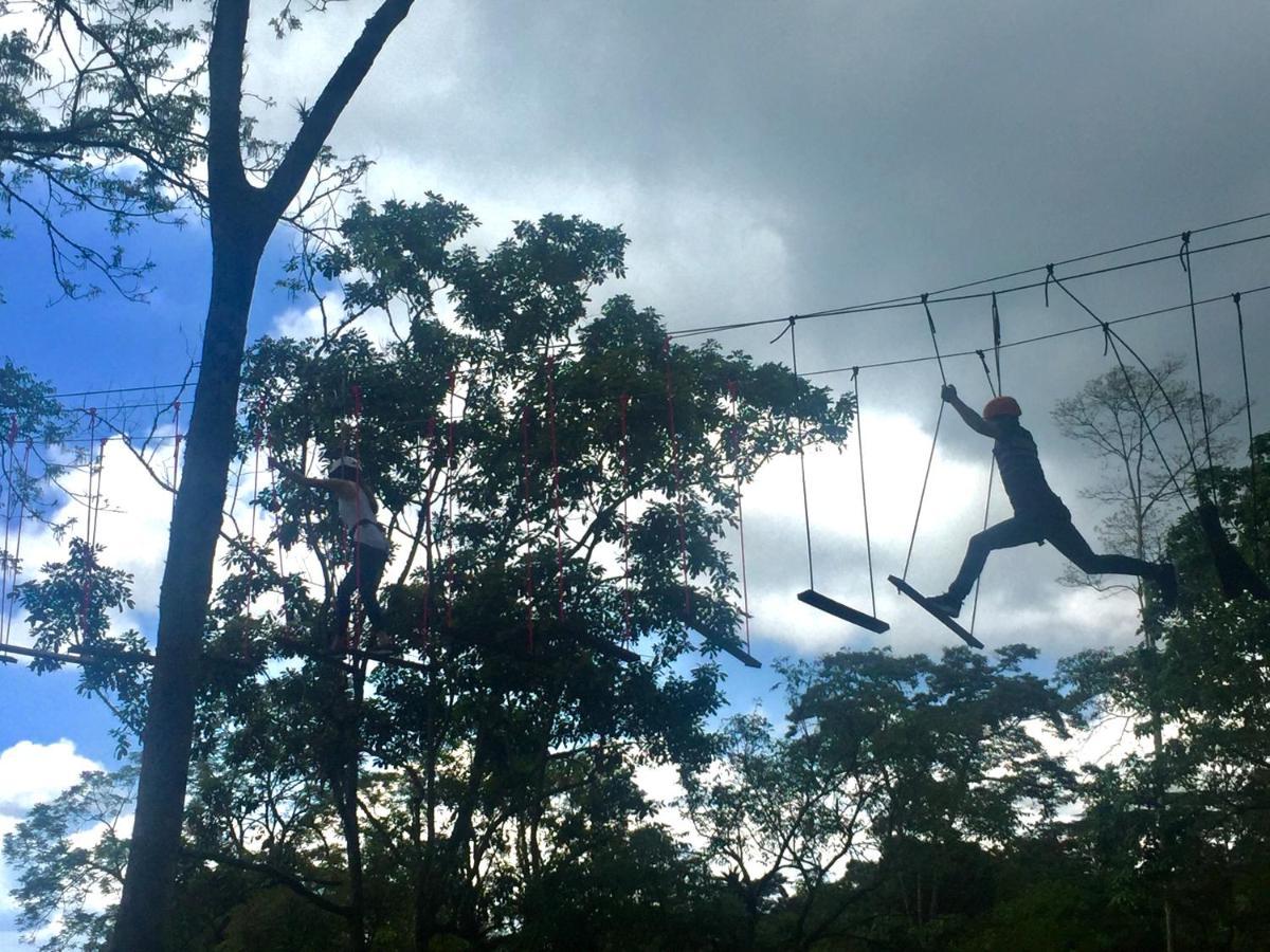 ホテル Bosque De Aventura & Glamping Refugio Del Bosque ラ・メサ エクステリア 写真